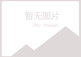 白银平川向珊能源有限公司